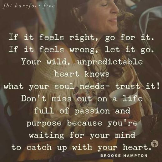 if it feels right quote